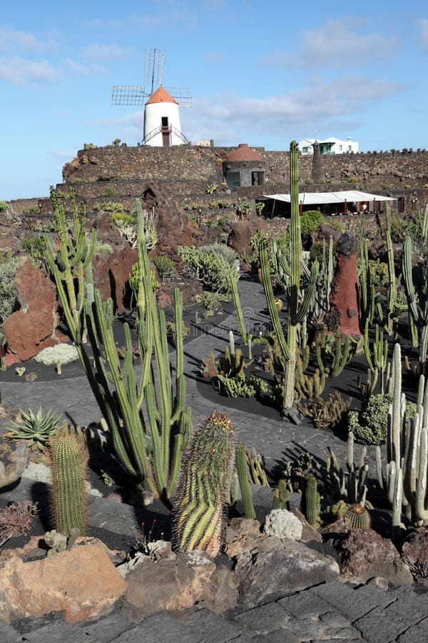 KaktusGarten, Lanzarote, Spanien Stockfoto Bild von botanik