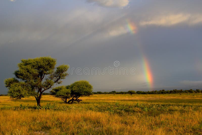 Kalahari Safari with gorgeous sunset and rainbow. Kalahari Safari with gorgeous sunset and rainbow