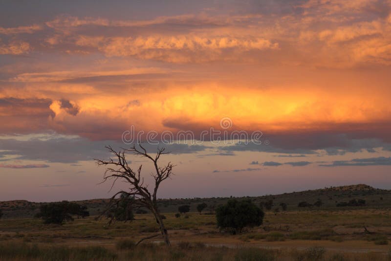 A Kalahari sunset before a thunderstorm. A Kalahari sunset before a thunderstorm