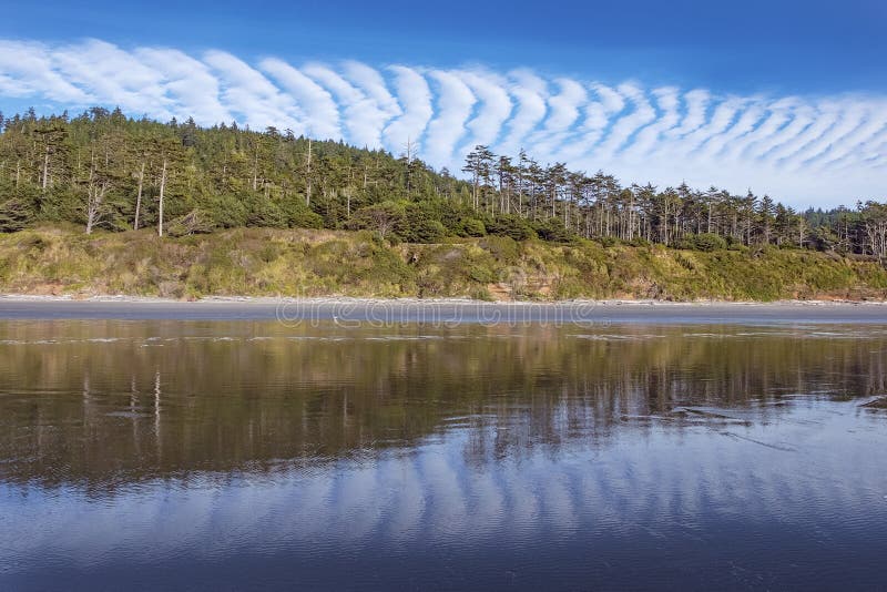 123 Kalaloch Beach Photos Free & RoyaltyFree Stock Photos from Dreamstime