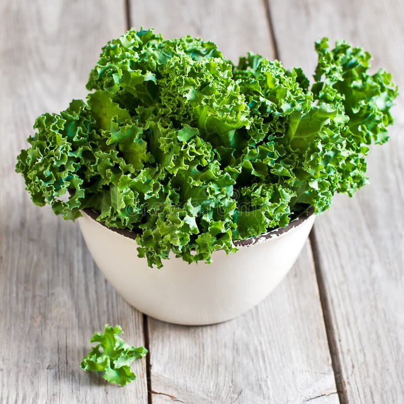 Kale fotografia stock Kale fotografia stock