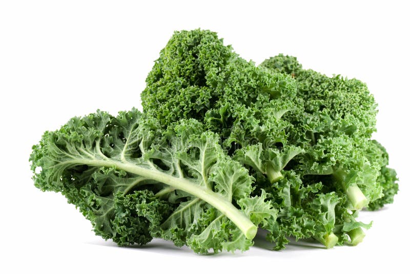 Kale. Wet kale close up on white background royalty free stock photos