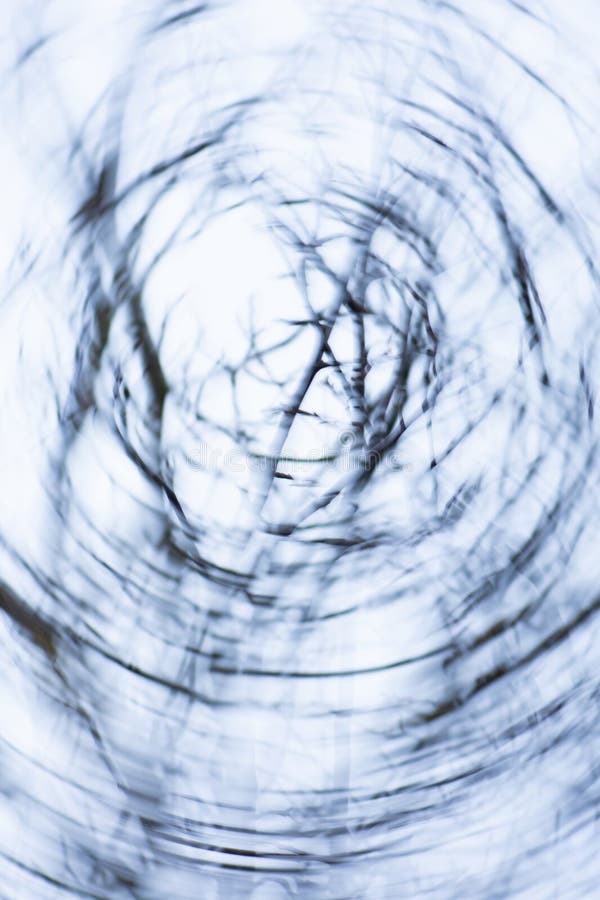 Kale boomvertakkingen op een lichtwitte achtergrond ontocgebruikt oppervlak met bokeh stock fotografie Kale boomvertakkingen op een lichtwitte achtergrond ontocgebruikt oppervlak met bokeh stock fotografie