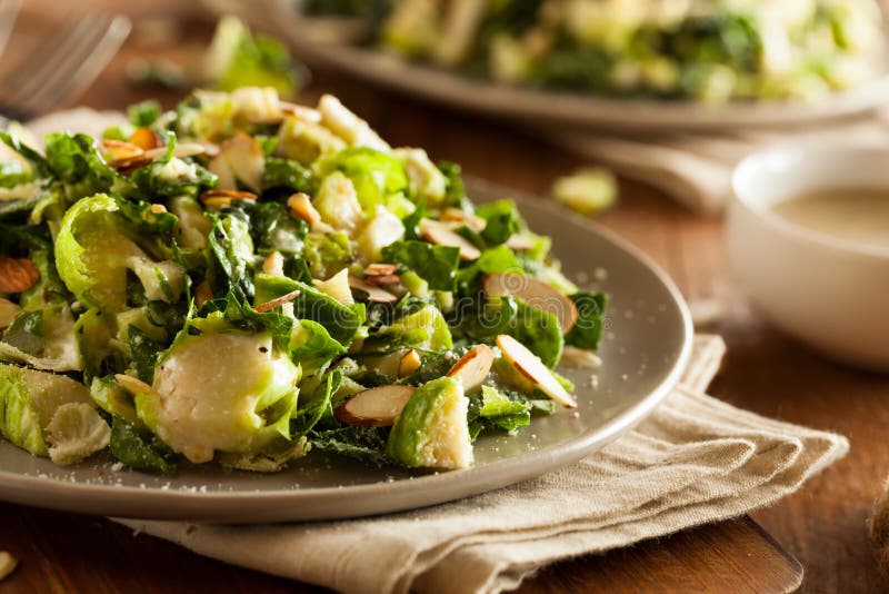 Kale and Brussel Sprout Salad Stock Image Image of cooking, brussel