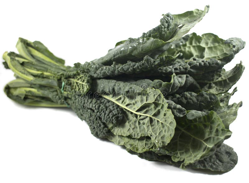 Black kale, italian kale stock image. Image of tuscany 30239725