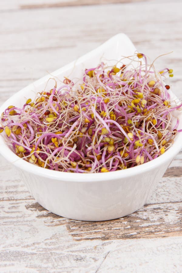 Kale Sprouts As Source Natural Vitamins and Minerals. Healthy Nutrition