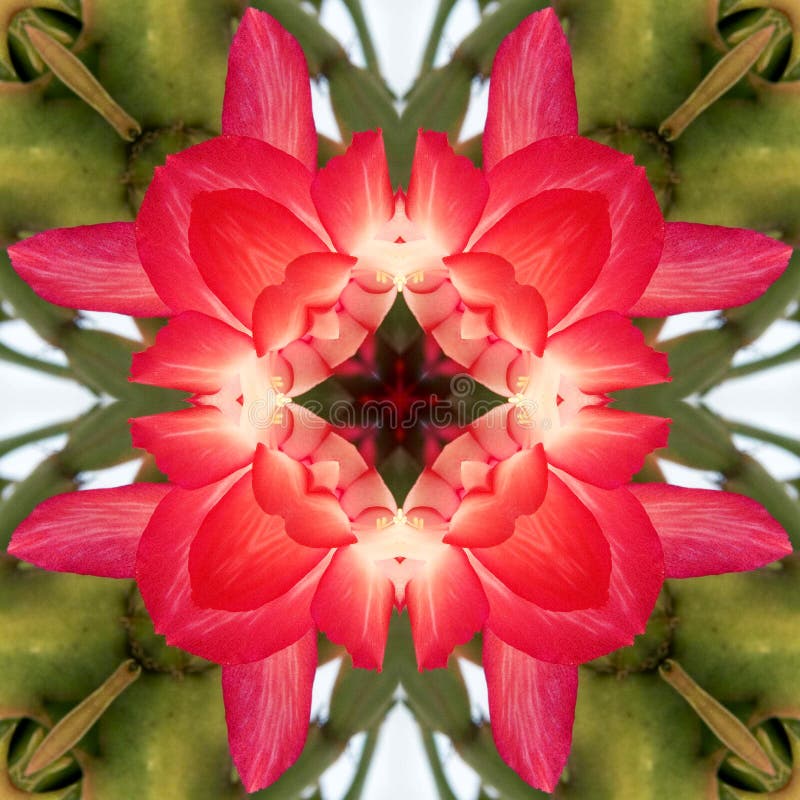 Kaleidoscope Background