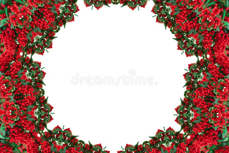 Kaleidoscope of red berries. Pattern, mandala. Frame stock image Kaleidoscope of red berries. Pattern, mandala. Frame stock image