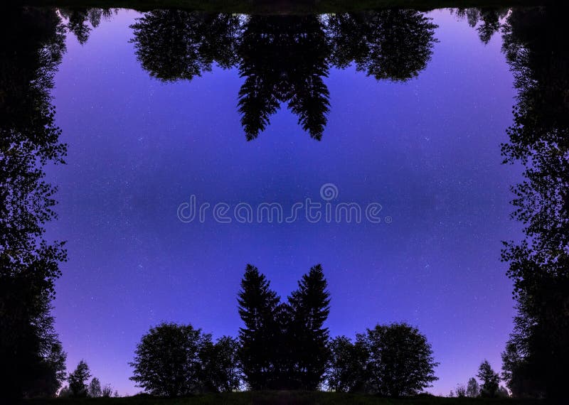 Kaleidoscopic pattern from night plants contours and starring dark sky royalty free stock image Kaleidoscopic pattern from night plants contours and starring dark sky royalty free stock image