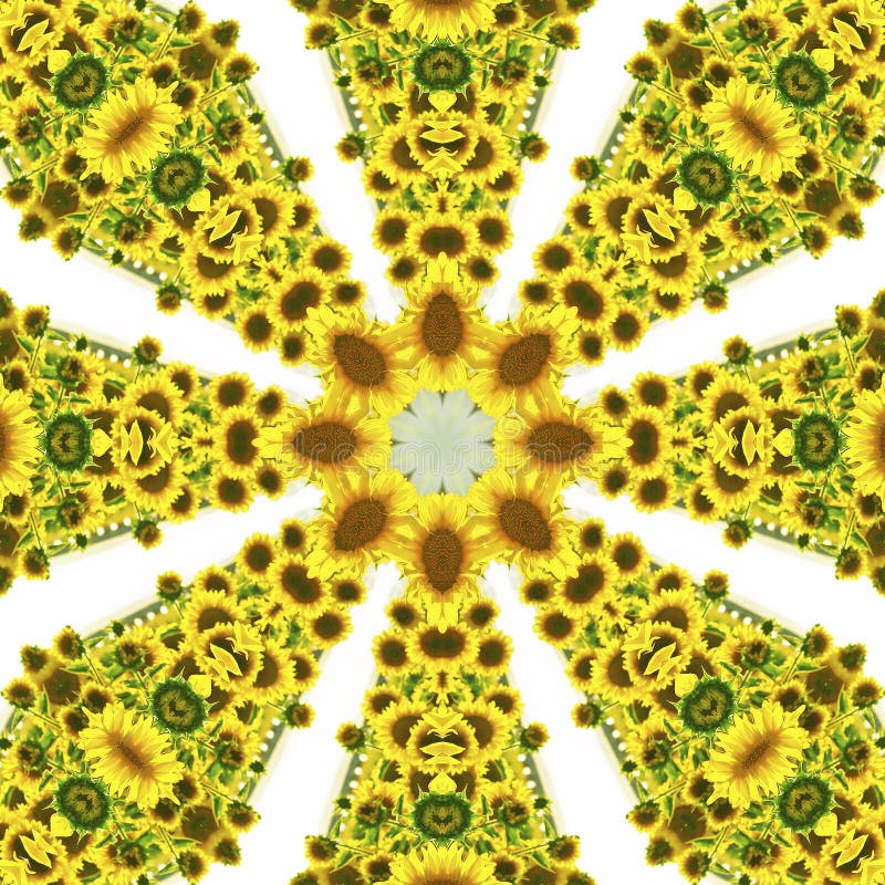 Kalejdoskop med naturliga bevekelsegrunder av solrosor vektor illustrationer Kalejdoskop med naturliga bevekelsegrunder av solrosor vektor illustrationer