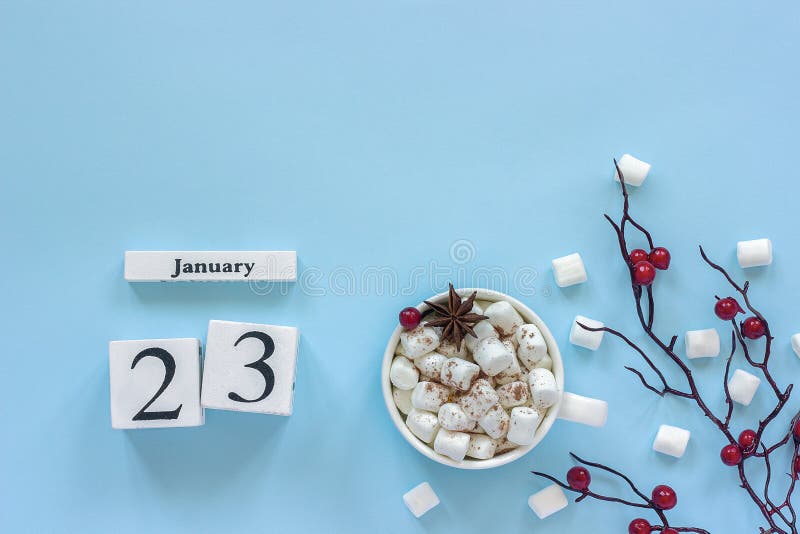 KalenderJanuari 23 kopp av kakao, marshmallower och filialbär royaltyfri bild KalenderJanuari 23 kopp av kakao, marshmallower och filialbär royaltyfri bild