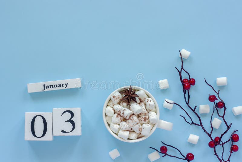 KalenderJanuari 3 kopp av kakao, marshmallower och filialbär royaltyfria foton KalenderJanuari 3 kopp av kakao, marshmallower och filialbär royaltyfria foton