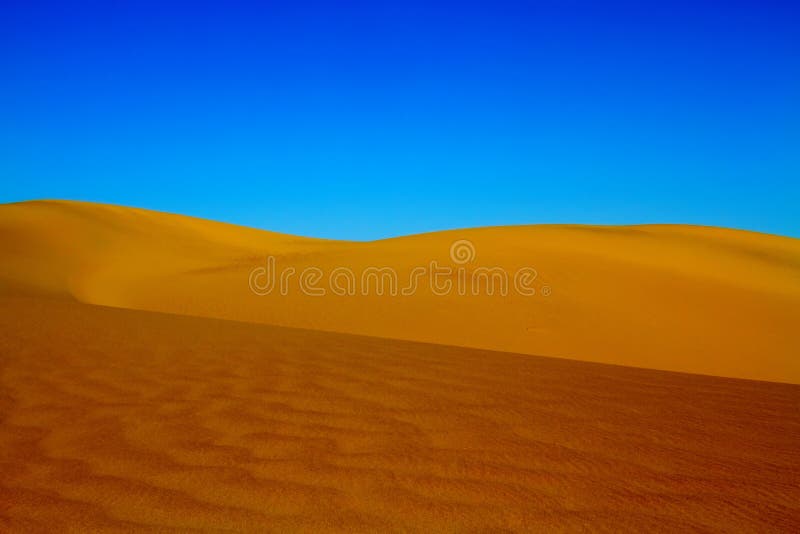 Sand Dunes in Death Valley National Park California. Sand Dunes in Death Valley National Park California