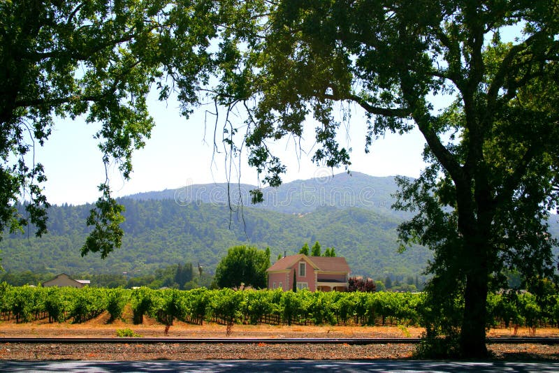 kalifornijskie sonoma napa valley zdjęcie stock kalifornijskie sonoma napa valley zdjęcie stock