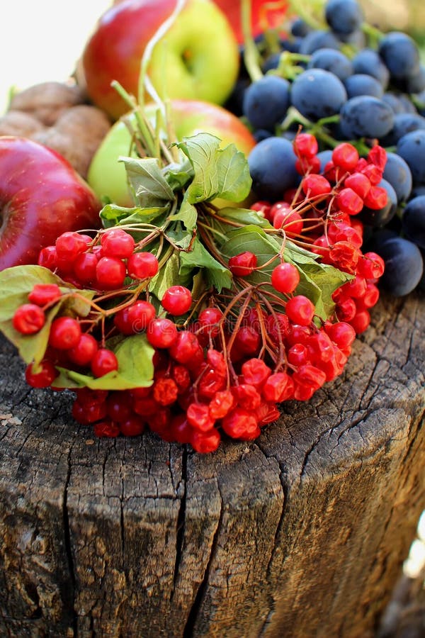 Trauben, Äpfel, Nüsse Und Ein Glas Rotwein Stockfoto - Bild von früchte ...