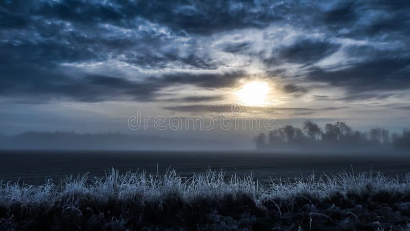 Kalte nebelige Landschaft, Feld im Sonnenaufgang Eisiges Gras stockbilder Kalte nebelige Landschaft, Feld im Sonnenaufgang Eisiges Gras stockbilder