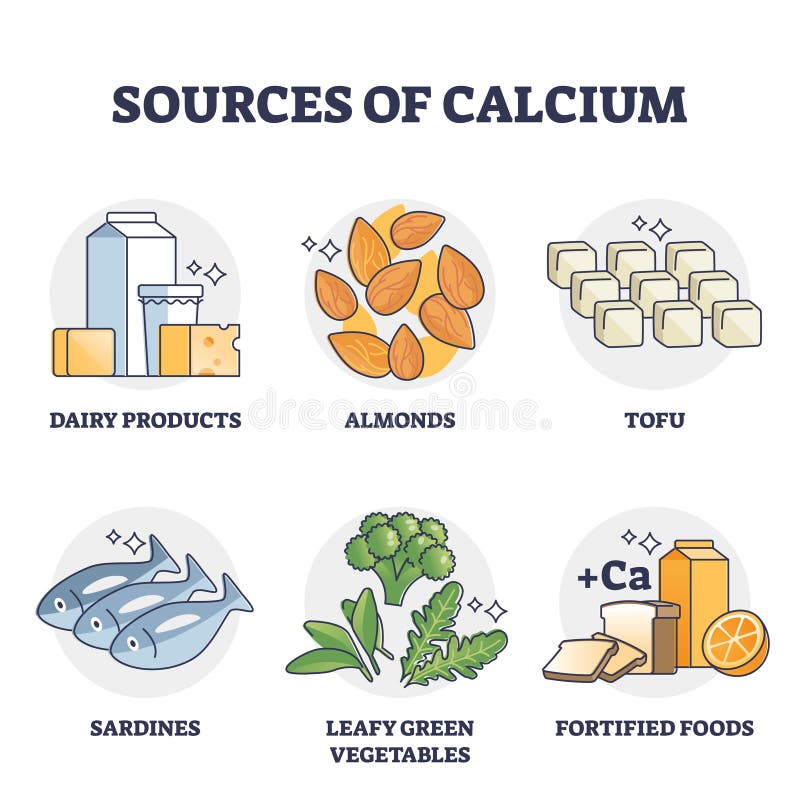 Kalziumquellen und natürliche Nahrungsmittel mit hohem Kalibrationsgehalt Skizze