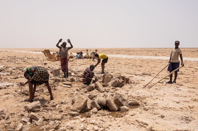 DANAKIL DEPRESSION, ETHIOPIA, APRIL 29th.2019, Afar man cutting and mining salt bricks slabs in primitive tools at salt desert in the Danakil depression. April 29th. 201, Danakil depression, Ethiopia. DANAKIL DEPRESSION, ETHIOPIA, APRIL 29th.2019, Afar man cutting and mining salt bricks slabs in primitive tools at salt desert in the Danakil depression. April 29th. 201, Danakil depression, Ethiopia