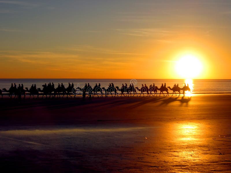 Kamele durch das Meer lizenzfreies stockbild