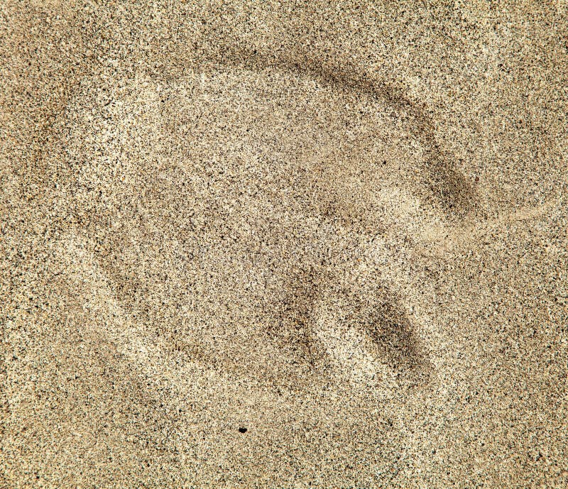Kamelfußdrucke in der Sandwüste lizenzfreies stockbild Kamelfußdrucke in der Sandwüste lizenzfreies stockbild