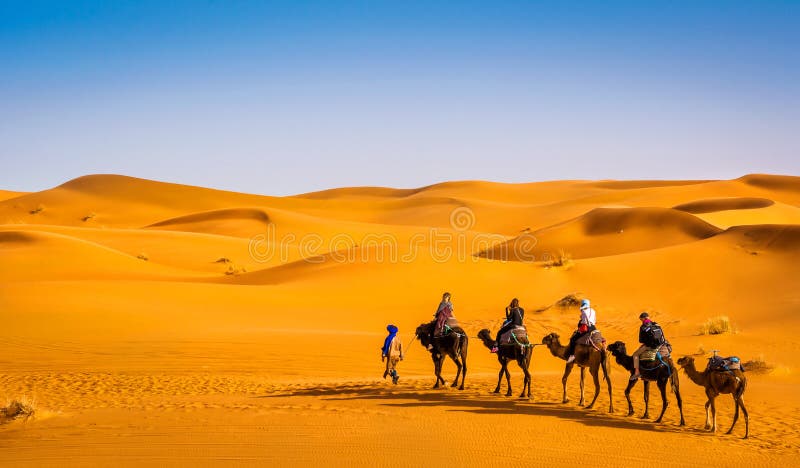 Kamelhusvagn som går till och med sanddyerna i härliga Sahara Desert Förbluffa siktsnaturen av Afrika Konstn?rlig bild _ arkivfoton Kamelhusvagn som går till och med sanddyerna i härliga Sahara Desert Förbluffa siktsnaturen av Afrika Konstn?rlig bild _ arkivfoton