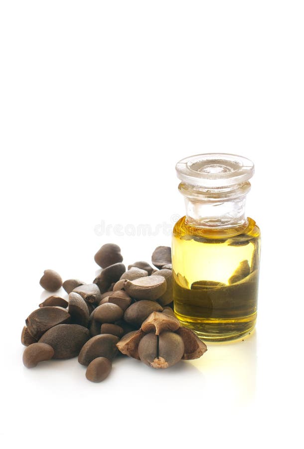 Kamelienöl und -nüsse stockfotos