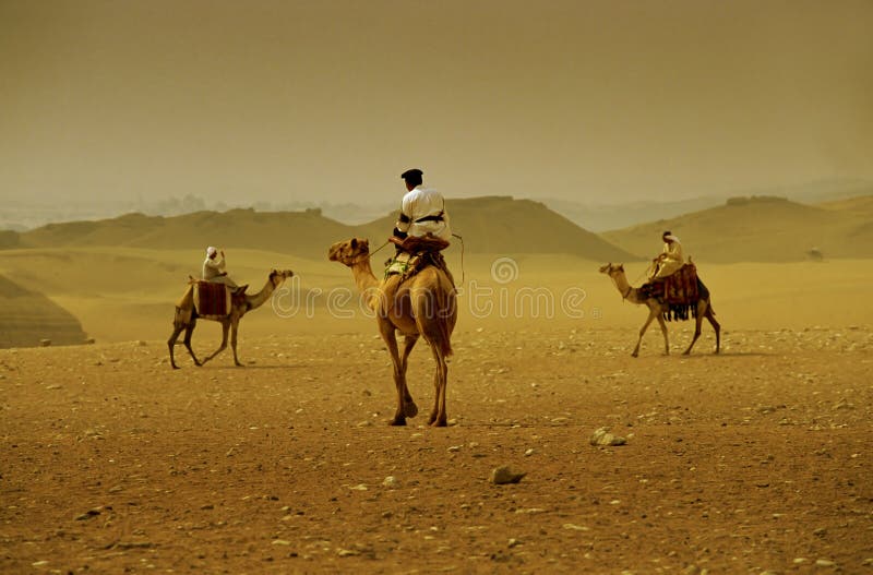 Kamelüberfahrt stockfotografie Kamelüberfahrt stockfotografie