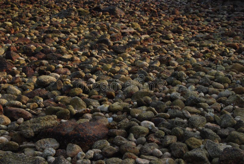 Kamień na plaży