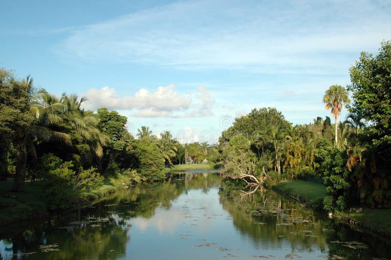 Tropical Canal in Miami with Lush Vegetation. Tropical Canal in Miami with Lush Vegetation