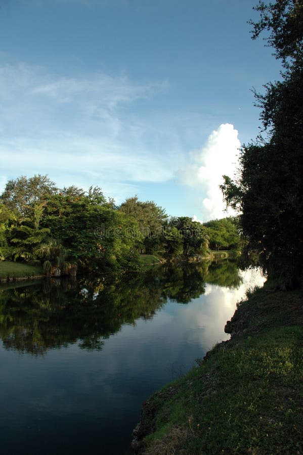 Tropical Canal in Miami with Lush Vegetation. Tropical Canal in Miami with Lush Vegetation