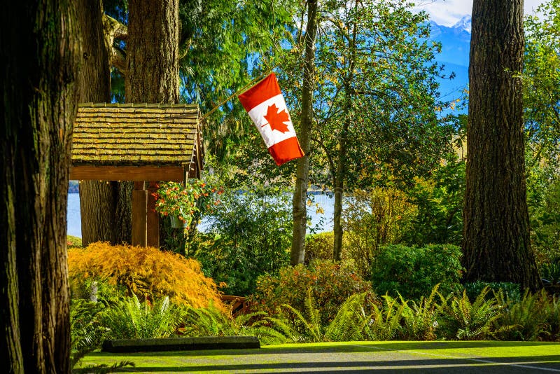 Kanada Flagga I Skog, F. KR., British Columbia, Kanada Arkivfoto - Bild av skogar, fraser: 92394680