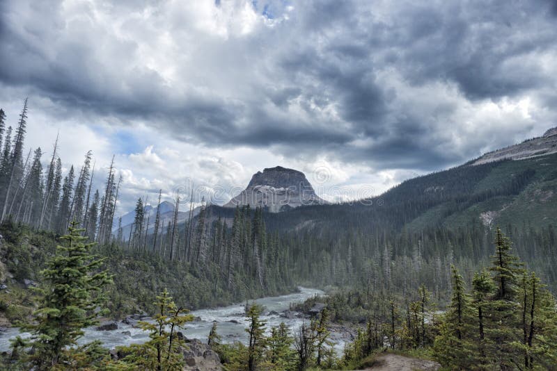 Kanada Rocky Mountains Panorama lizenzfreies stockbild Kanada Rocky Mountains Panorama lizenzfreies stockbild