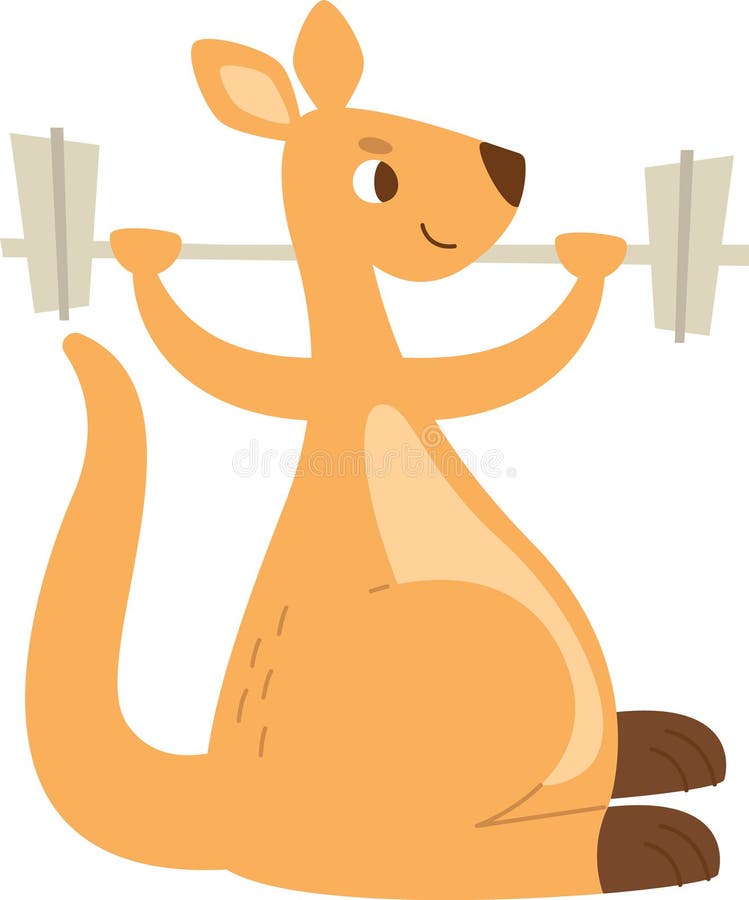 Kangaroo Animal With Dumbbell stock illustration