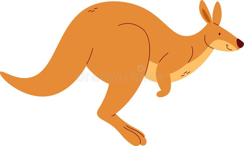 Kangaroo Animal Running vector illustration