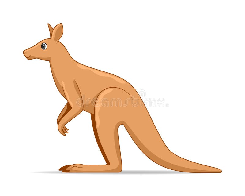 Kangaroo animal standing on a white background stock illustration