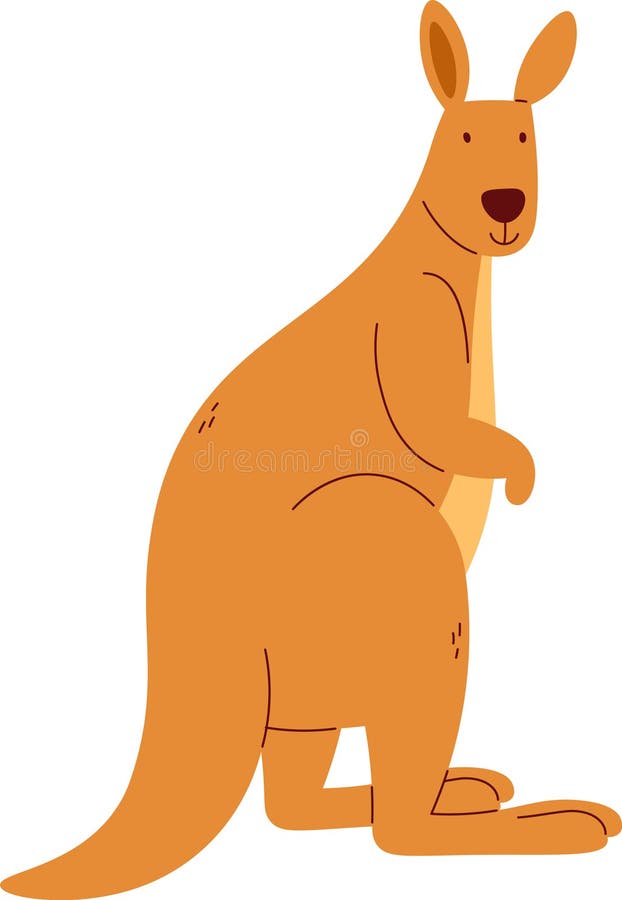 Kangaroo Animal Staying vector illustration