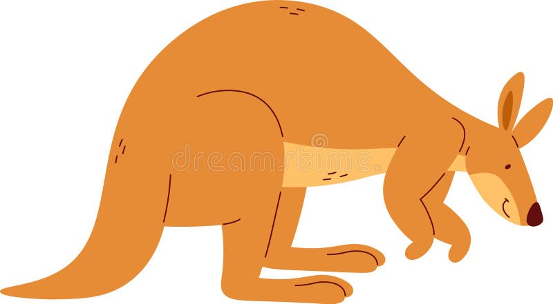 Kangaroo Animal Staying stock illustration