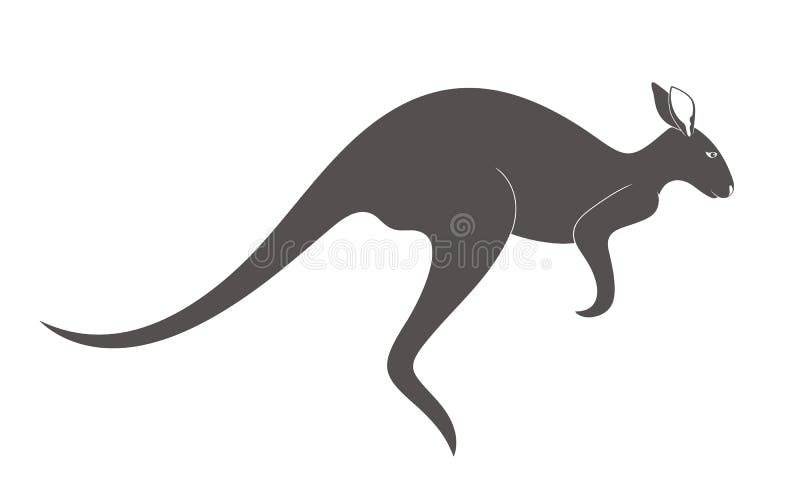 Kangaroo. Animal vector illustration