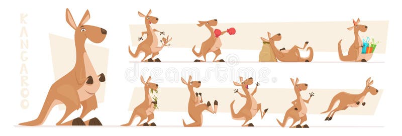 Kangaroo characters. Wildlife australian animals standing and jumping exact vector kangaroo in action poses