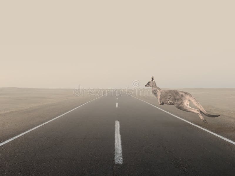 Kangaroo Jumps Over the Road Stock Image Image of smoke, fauna 171889113