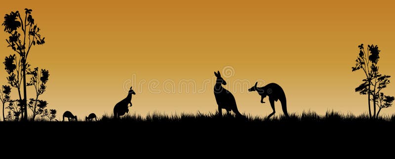 Kangourous et arbres comme silhouette dans le coucher du soleil