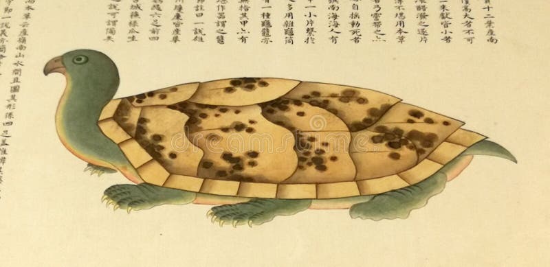 1698 kangxi qing dynastia katalog morskich stworzeń nie huang ilustracje malarstwo życie oceaniczne starożytne chiny