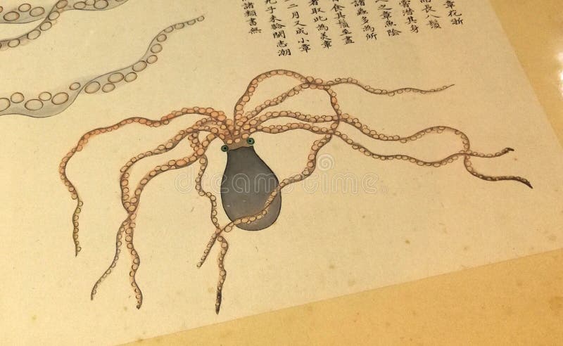 1698 kangxi qing dynasty ośmiornica katalog morskich stworzeń nie huang ilustracje malarstwo oceaniczne życie starożytne chiny