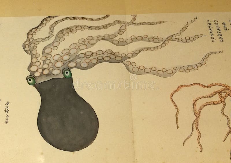 1698 kangxi qing dynasty ośmiornica katalog morskich stworzeń nie huang ilustracje malarstwo oceaniczne życie starożytne chiny