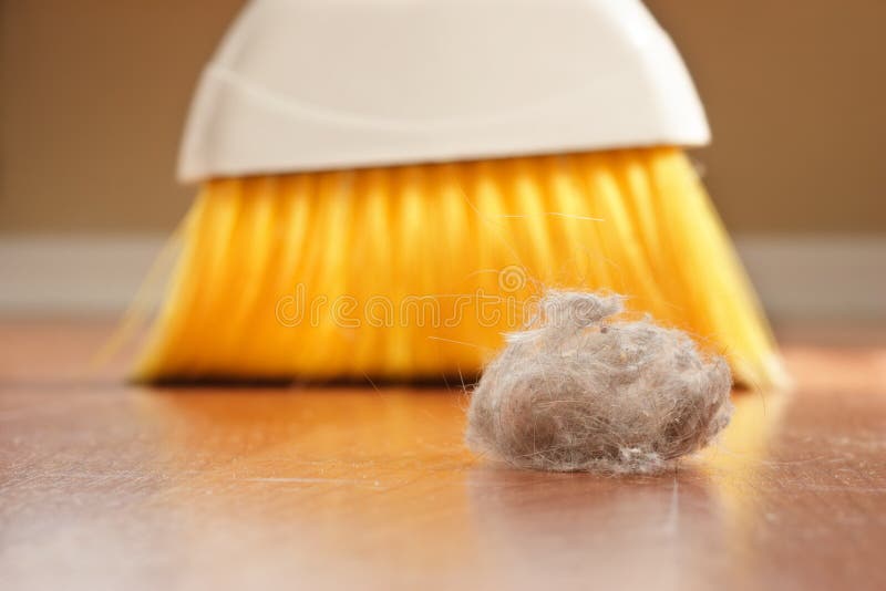 A large clump of dust being swept up with a broom. A large clump of dust being swept up with a broom