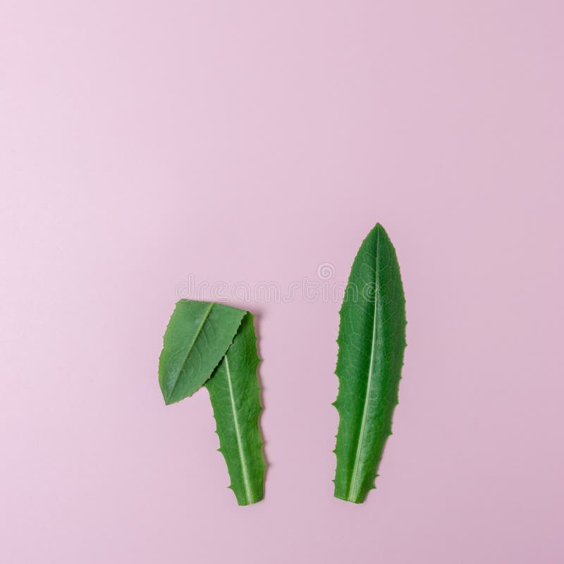 Kaninöron som göras av naturliga gröna sidor på rosa bakgrund Minsta begrepp för påsk Lekmanna- lägenhet arkivbild Kaninöron som göras av naturliga gröna sidor på rosa bakgrund Minsta begrepp för påsk Lekmanna- lägenhet arkivbild
