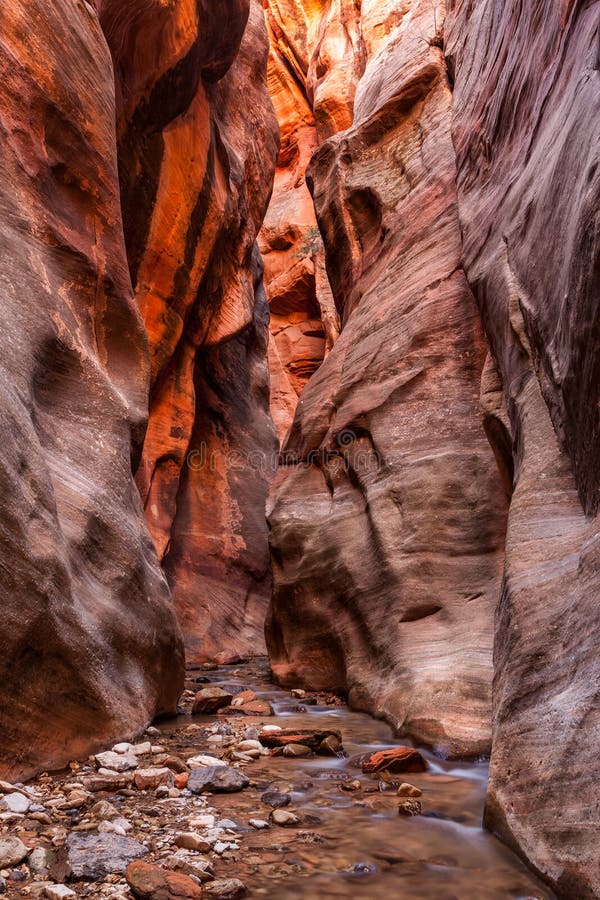 Kanjon för Kanarra liten vikspringa i den Zion nationalparken, Utah arkivfoto Kanjon för Kanarra liten vikspringa i den Zion nationalparken, Utah arkivfoto
