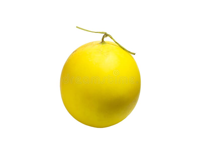 Kantalupa melonu kolor żółty zdjęcia royalty free Kantalupa melonu kolor żółty zdjęcia royalty free