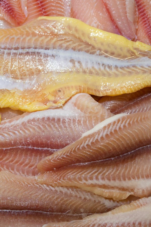 Kantfiskfilékött och fettstruktur fiskbakgrund. Kantfiltkött och fettstruktur bakgrund