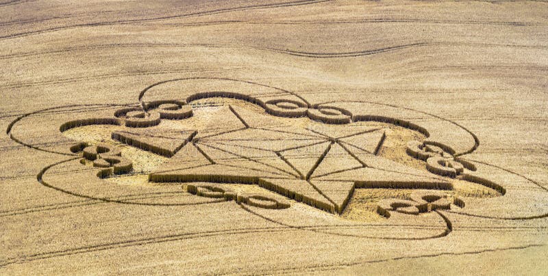 Wiltshire UK - The crop circle - who did it ?. Wiltshire UK - The crop circle - who did it ?